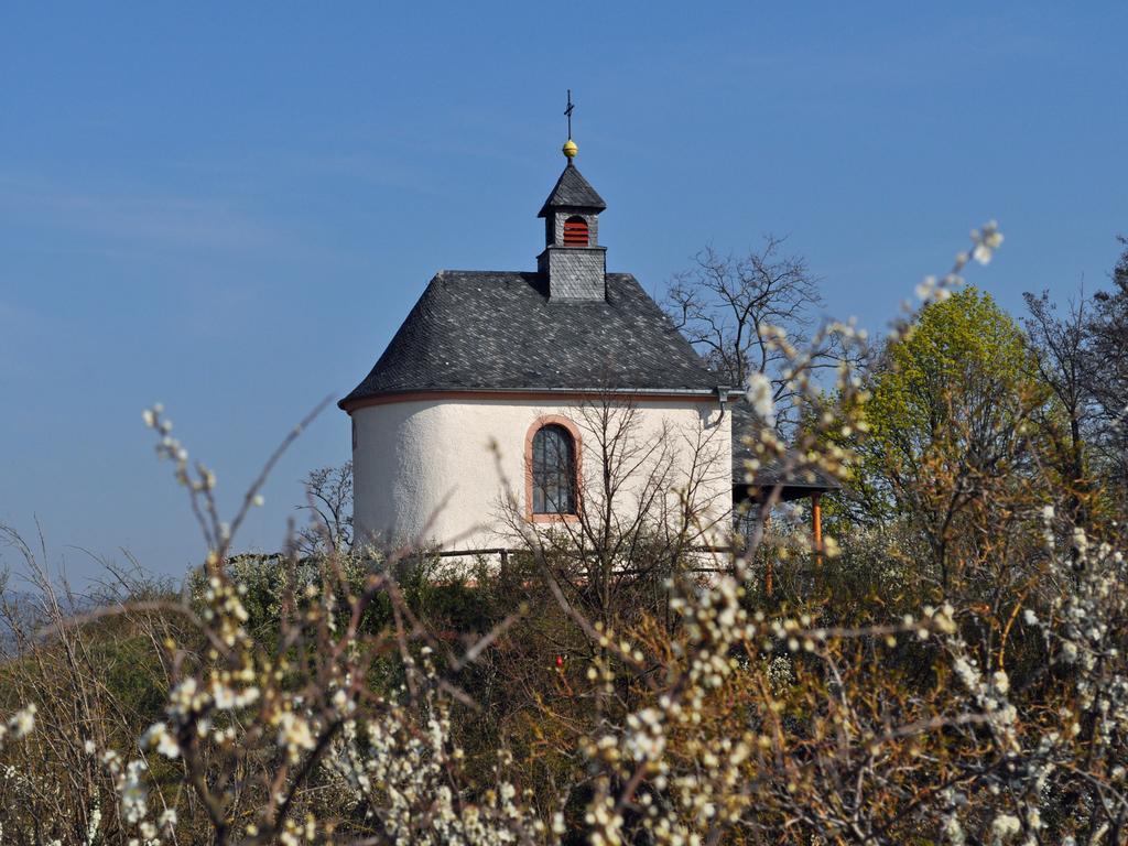 Hofgarten Rosa Ilbesheim bei Landau in der Pfalz Exterior photo